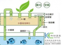 無(wú)土栽培