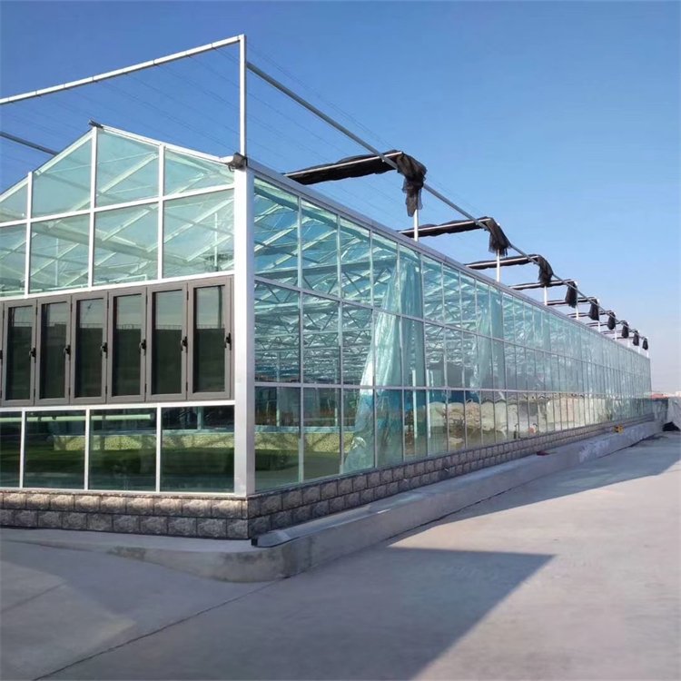 無土栽培，無土栽培技術，無土栽培設備